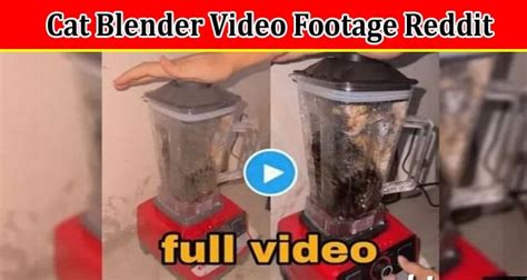 cat blender video twitter